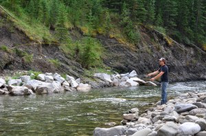 14764800317_dbf97828e4_k