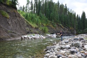 14951333345_c8797a0fd8_k